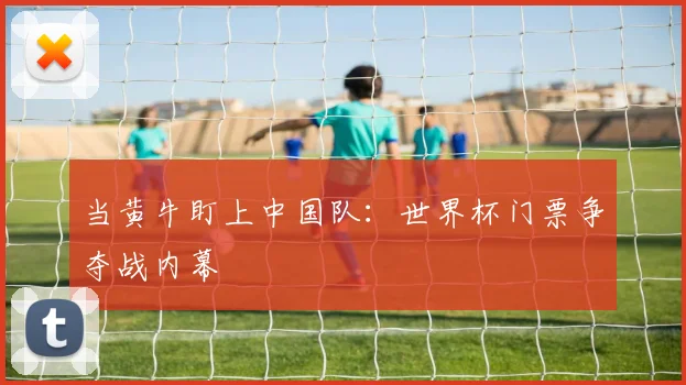 当黄牛盯上中国队:世界杯门票争夺战内幕