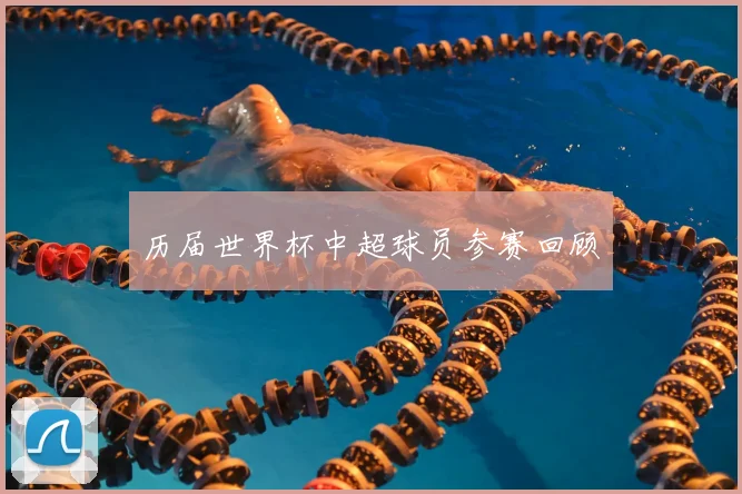 历届世界杯中超球员参赛回顾