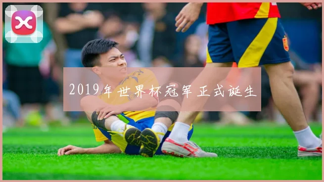 2019年世界杯冠军正式诞生