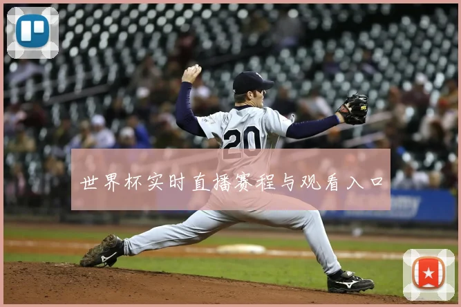 世界杯实时直播赛程与观看入口