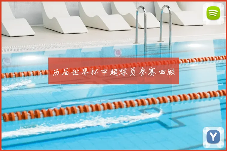 历届世界杯中超球员参赛回顾