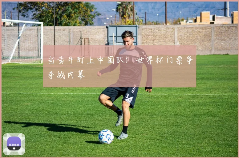当黄牛盯上中国队：世界杯门票争夺战内幕