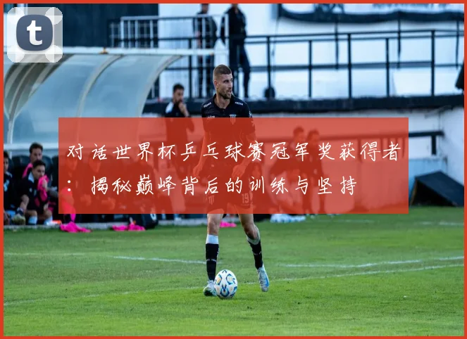 对话世界杯乒乓球赛冠军奖获得者：揭秘巅峰背后的训练与坚持